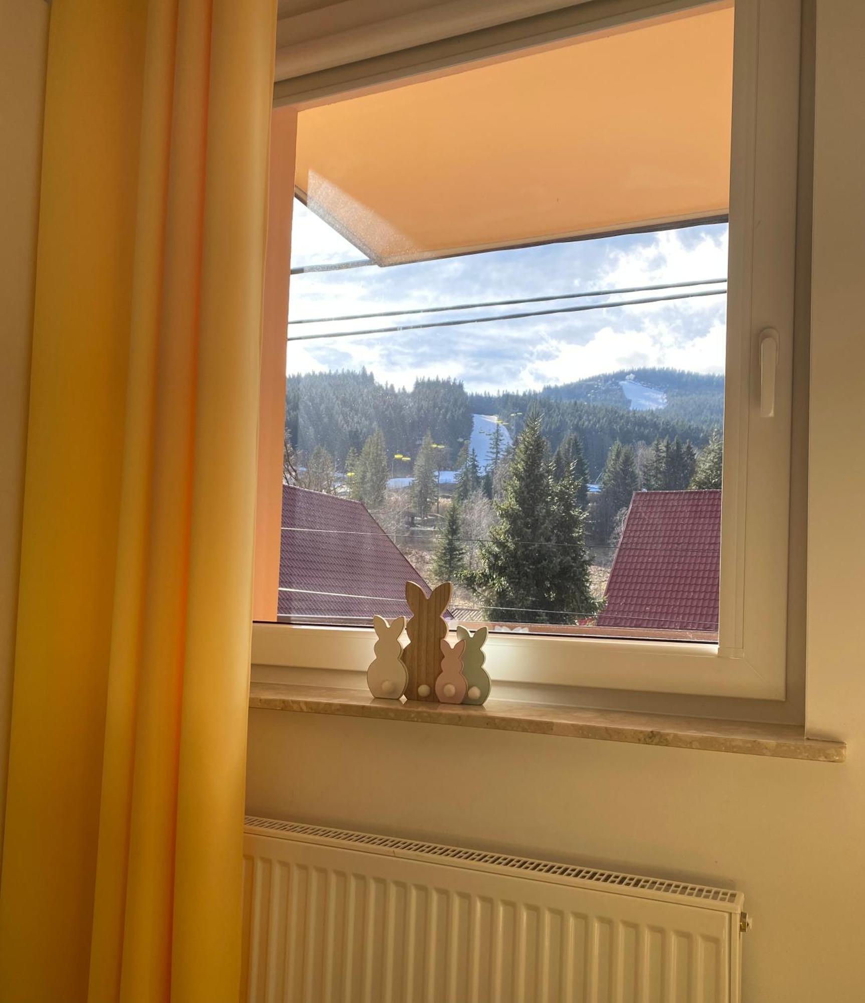 Apartamenty Pod Rudka Czarna Gora Agroturystyka Heudorf Exterior foto